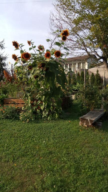 Rose-Marie'S Paradies Apartman Aesch Kültér fotó